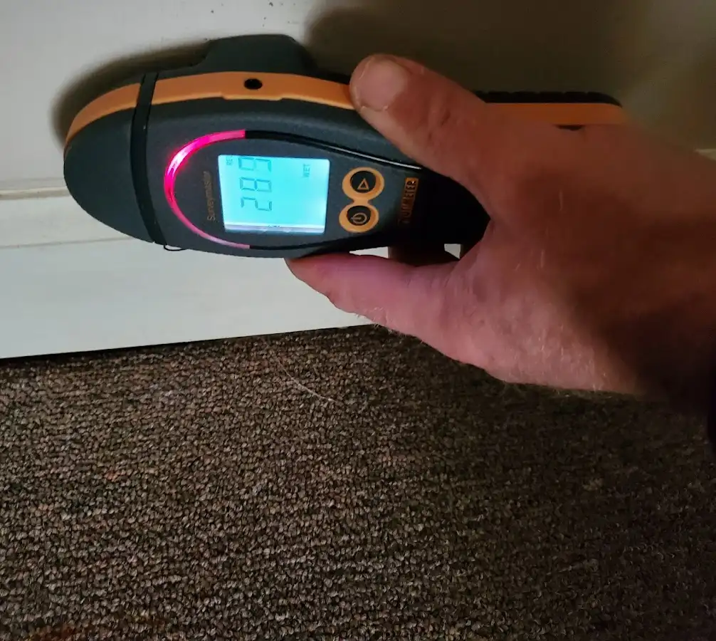 Moisture detection at baseboard during Burst Pipe Cleanup in South Williamsport